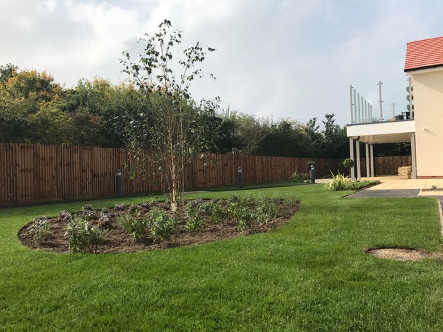 New build care home horticultural project